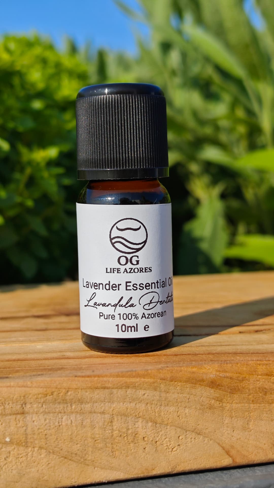 Lavender Essential Oil by OG Life Azores