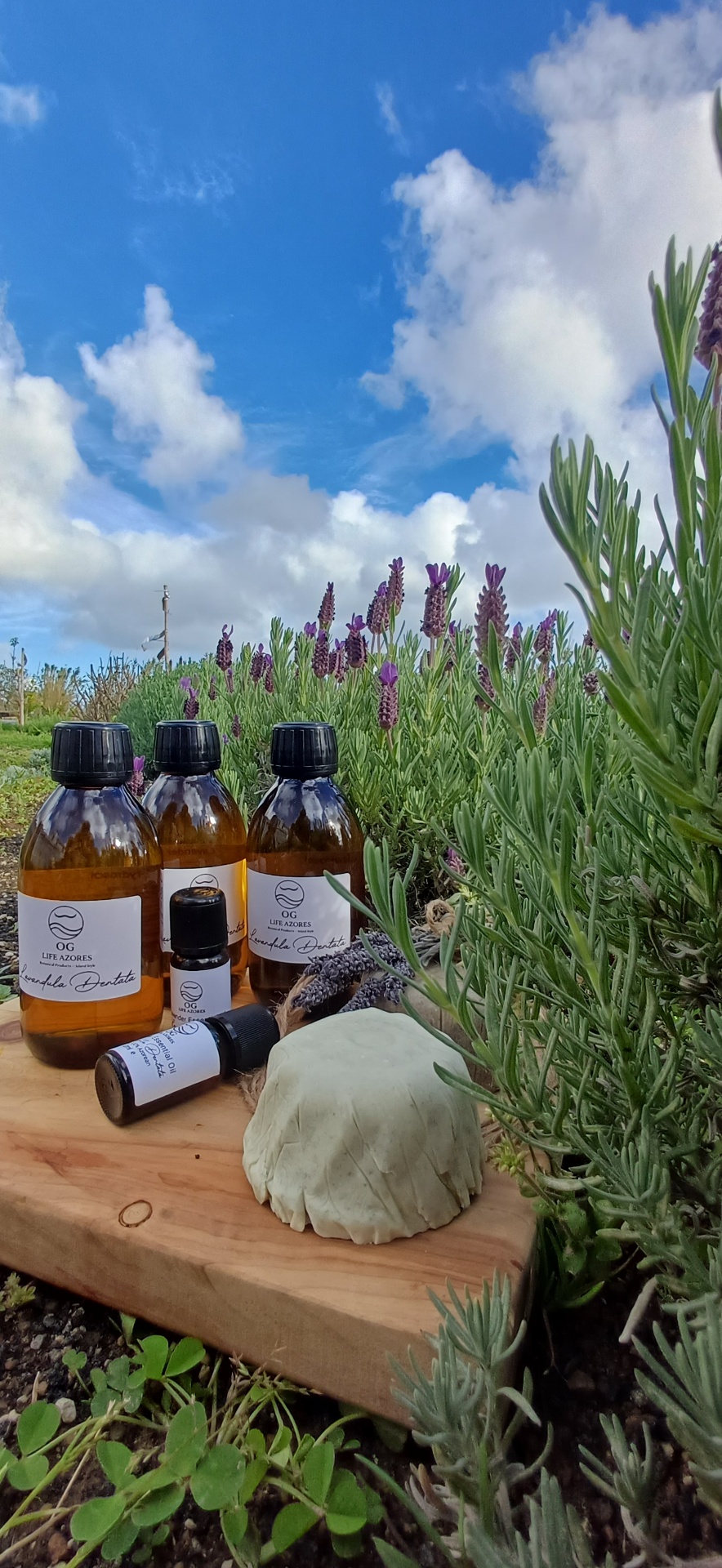 Tallow + Essential Oil by OG Life Azores